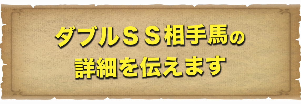 ダブルＳＳ相手の詳細を伝えます