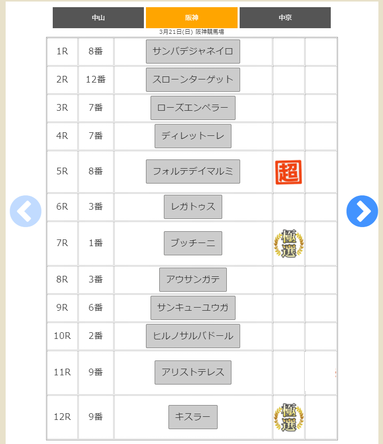 相手馬メーカープレミアムシステム画像03